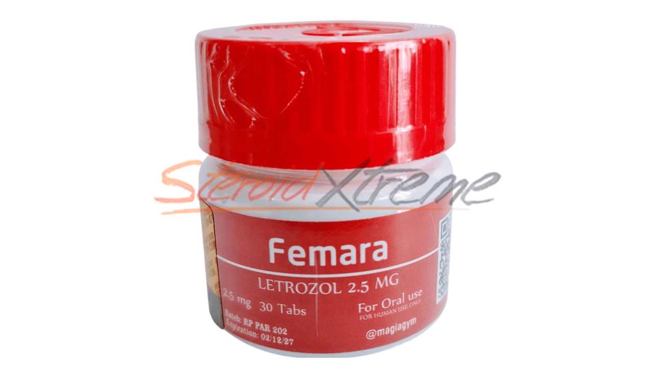 Femara Letrozole Rotterdam | Antiestrógeno Elite Post Ciclo 2.5mg - XtremeNutriMX