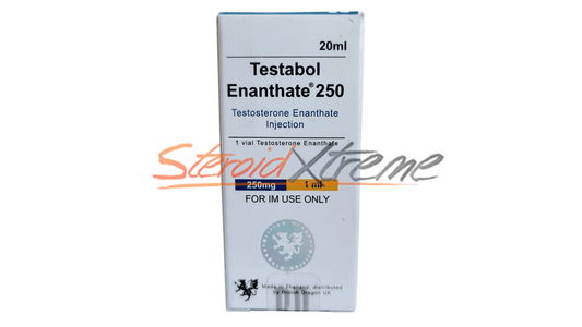 Testosterona Enantato 250mg 20ml – British Dragon - XtremeNutriMX