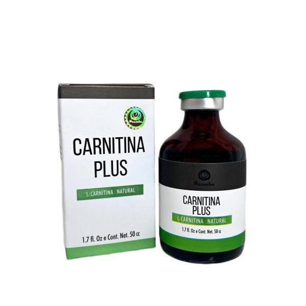 Carnitina Plus Mesoslim 50ml | Quema grasa y activa energía - XtremeNutriMX