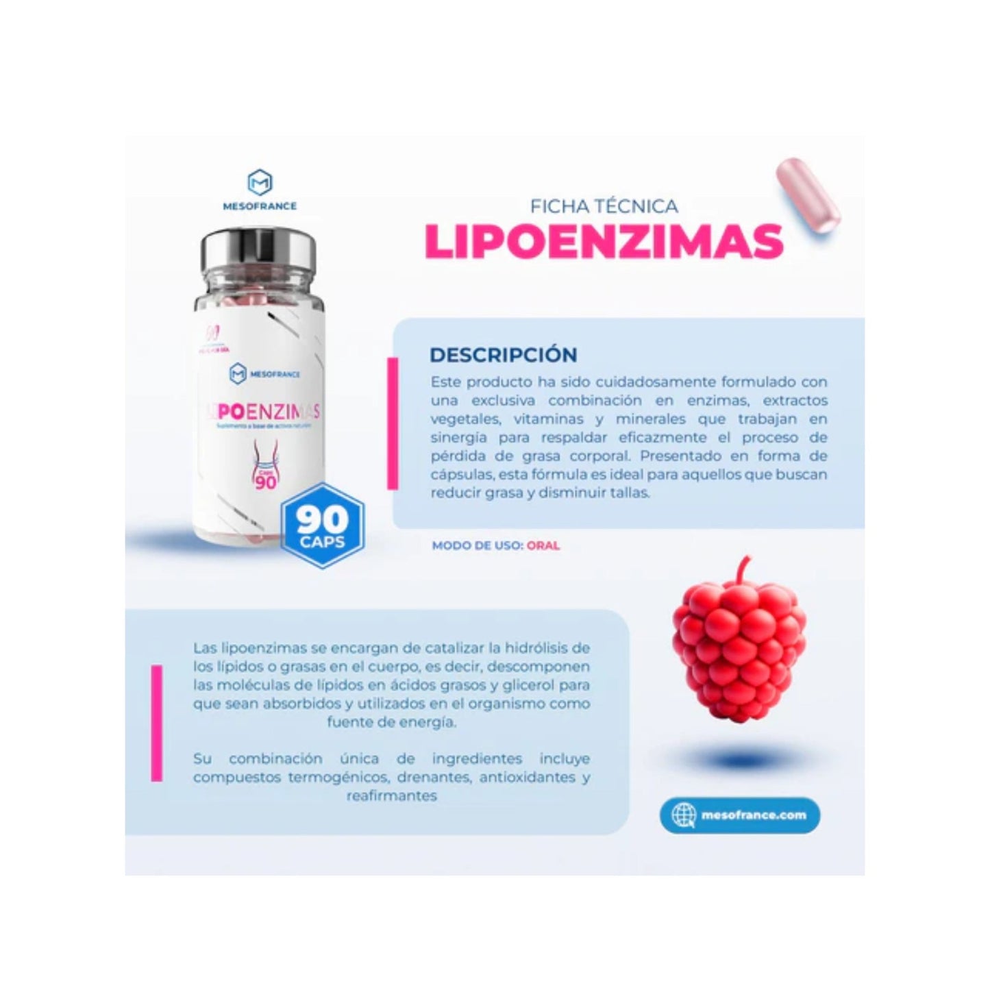 Lipo Enzimas Caps - Mesofrance - Suplemento para Quemar Grasa y Mejorar Apariencia Física 90 Cápsulas - XtremeNutriMX