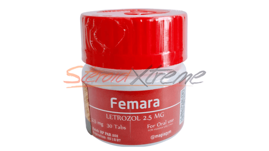 Femara Letrozole Rotterdam | Antiestrógeno Elite Post Ciclo 2.5mg - XtremeNutriMX
